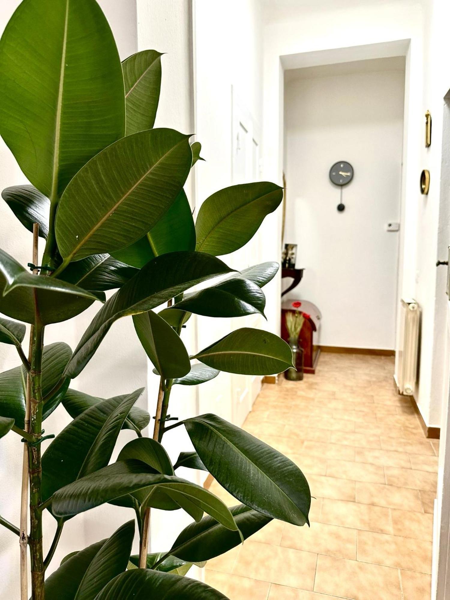 Casa Ganza Βίλα Πίζα Εξωτερικό φωτογραφία